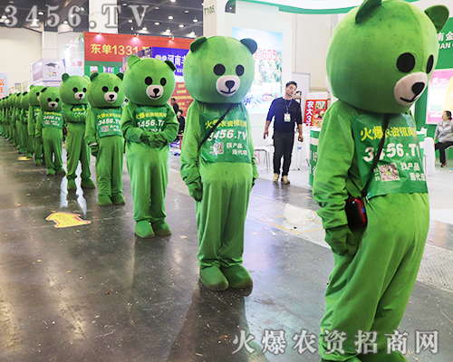 ̏(qing)݁ucs2019ʡֲ(hu)