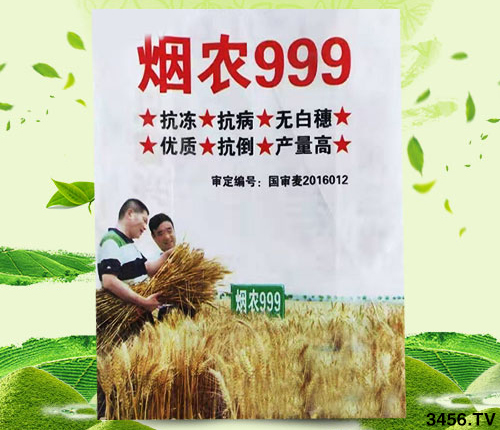 小麥?zhǔn)裁磿r候冬灌?必須準(zhǔn)確判斷!該灌不灌,必有后患! 小麥?zhǔn)裁磿r候冬灌?必須準(zhǔn)確判斷!該灌不灌,必有后患!