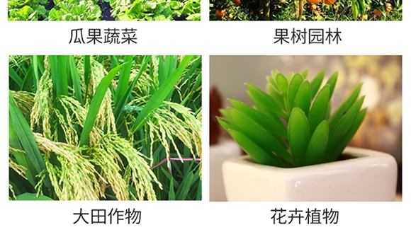 烯酰嗎啉-思達霜克-百農(nóng)思達 烯酰嗎啉-思達霜克-百農(nóng)思達