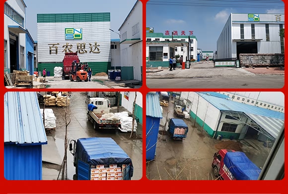 烯酰嗎啉-思達霜克-百農(nóng)思達 烯酰嗎啉-思達霜克-百農(nóng)思達