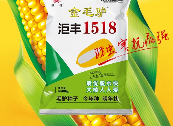 金毛驢匯豐1518-玉米種子-豫穗農業(yè) 金毛驢匯豐1518-玉米種子-豫穗農業(yè)