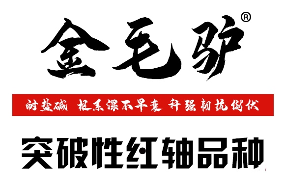 金毛驢匯豐1518-玉米種子-豫穗農業(yè) 金毛驢匯豐1518-玉米種子-豫穗農業(yè)