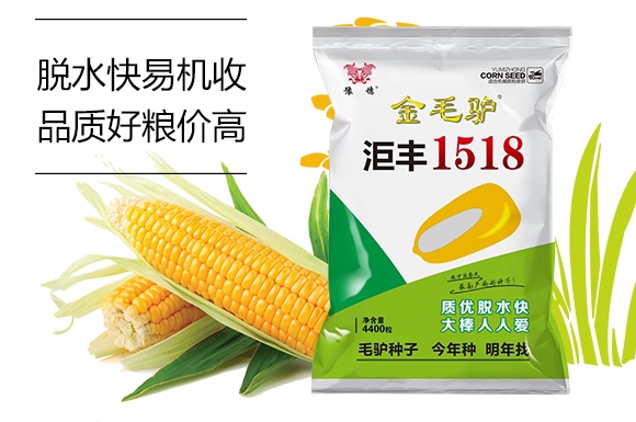 金毛驢匯豐1518-玉米種子-豫穗農業(yè) 金毛驢匯豐1518-玉米種子-豫穗農業(yè)