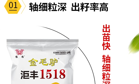 金毛驢匯豐1518-玉米種子-豫穗農業(yè) 金毛驢匯豐1518-玉米種子-豫穗農業(yè)