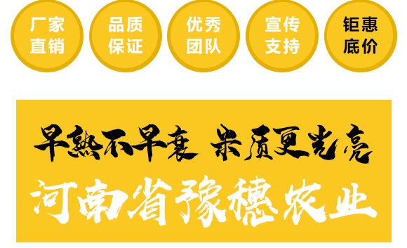 金毛驢匯豐1518-玉米種子-豫穗農業(yè) 金毛驢匯豐1518-玉米種子-豫穗農業(yè)