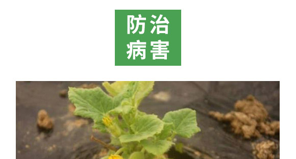 萬(wàn)稼能13元素(瓶裝)-乾農(nóng) 萬(wàn)稼能13元素(瓶裝)-乾農(nóng)