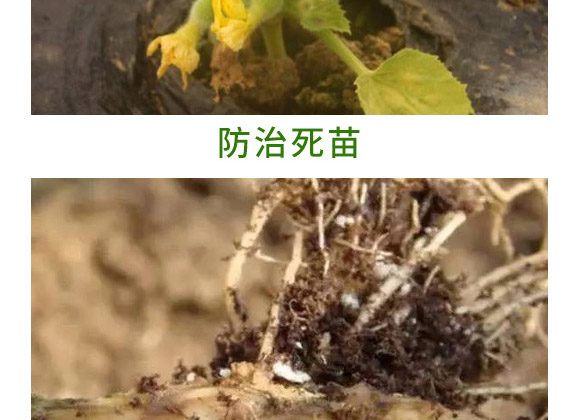 萬(wàn)稼能13元素(瓶裝)-乾農(nóng) 萬(wàn)稼能13元素(瓶裝)-乾農(nóng)