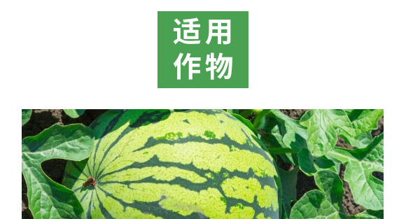 萬(wàn)稼能13元素(瓶裝)-乾農(nóng) 萬(wàn)稼能13元素(瓶裝)-乾農(nóng)