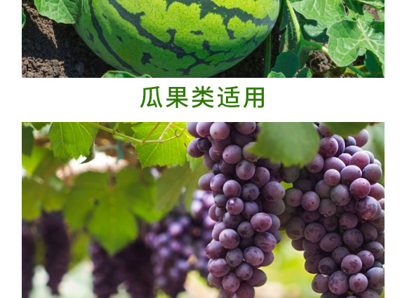 萬(wàn)稼能13元素(瓶裝)-乾農(nóng) 萬(wàn)稼能13元素(瓶裝)-乾農(nóng)