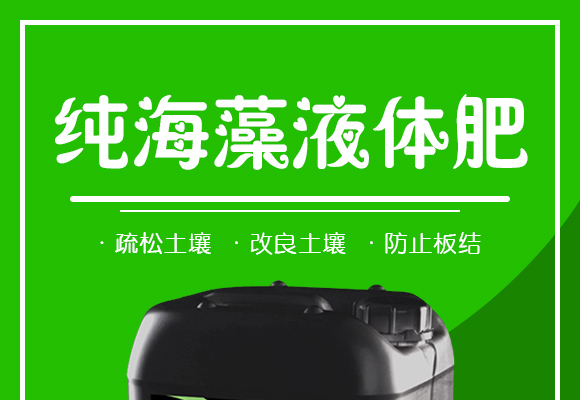 ׃之星进出口有限公司详情?_01.jpg