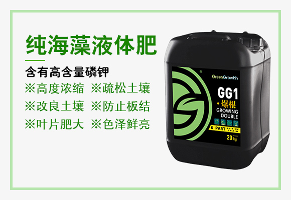 ׃之星进出口有限公司详情?_03.jpg