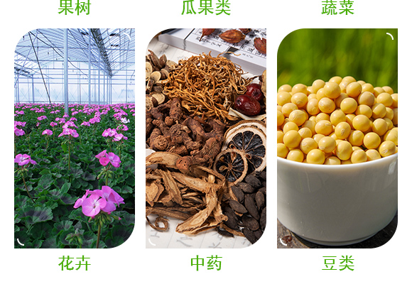׃之星进出口有限公司详情?_05.jpg