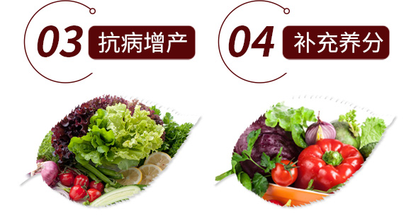 鍙戦叺綰緤綺?鏅哄_08.jpg 鍙戦叺綰緤綺?鏅哄_08.jpg