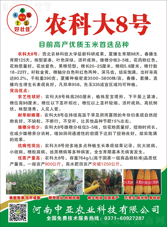 白芯農(nóng)科大8號(hào)玉米種子-敦煌飛天-中亞農(nóng)業(yè) 白芯農(nóng)科大8號(hào)玉米種子-敦煌飛天-中亞農(nóng)業(yè)