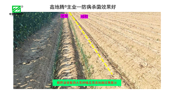 效果展示_05.png
