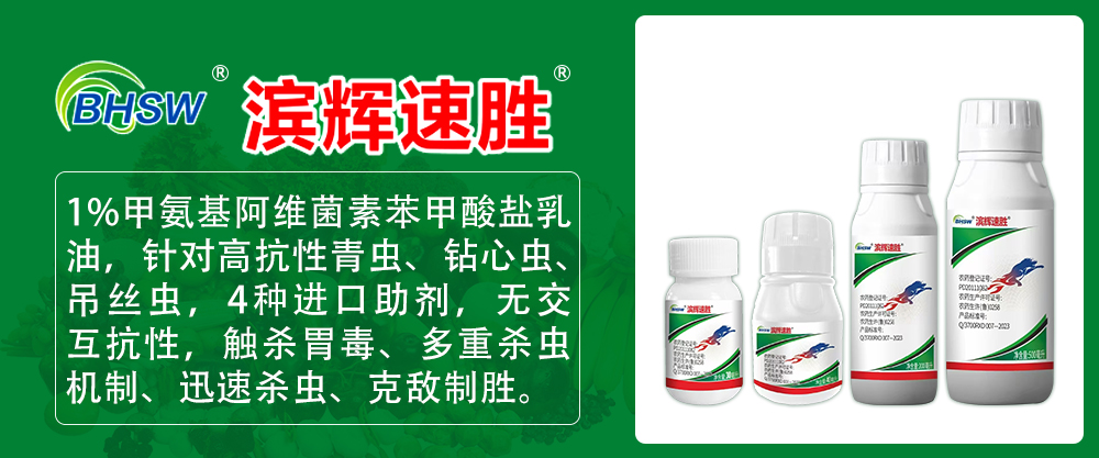 滨辉1.jpg
