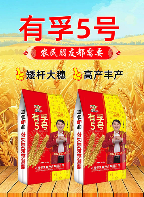 未标?1.jpg