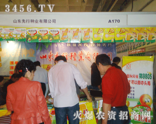 山東先行種業(yè)有限公司