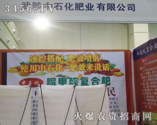 中石化肥業(yè)有限公司