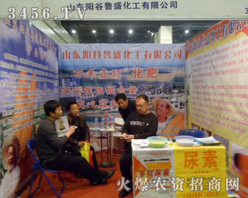 山東陽(yáng)谷魯盛化工有限公司