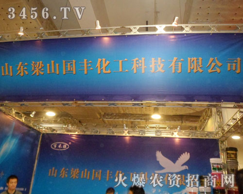 梁山國豐化工科技有限公司