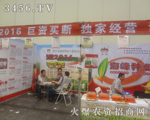 海峰種業(yè)獨(dú)攬夏季種子交易會(huì)風(fēng)采