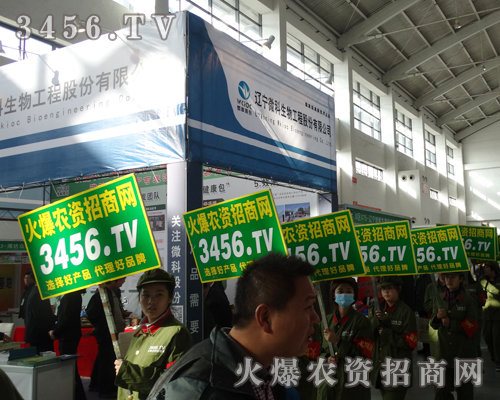3456.TV(zhn)ʿĈF