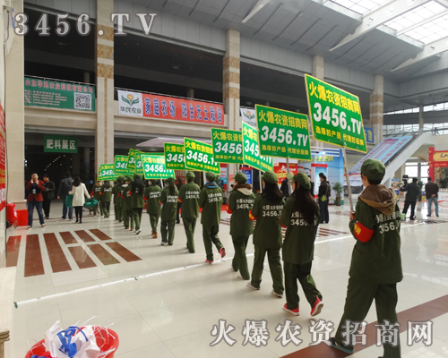 實(shí)效譽(yù)九州,火爆傳佳話
