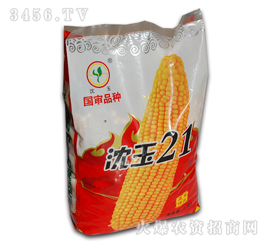 國(guó)審沈玉21-玉米種子-杜莊主