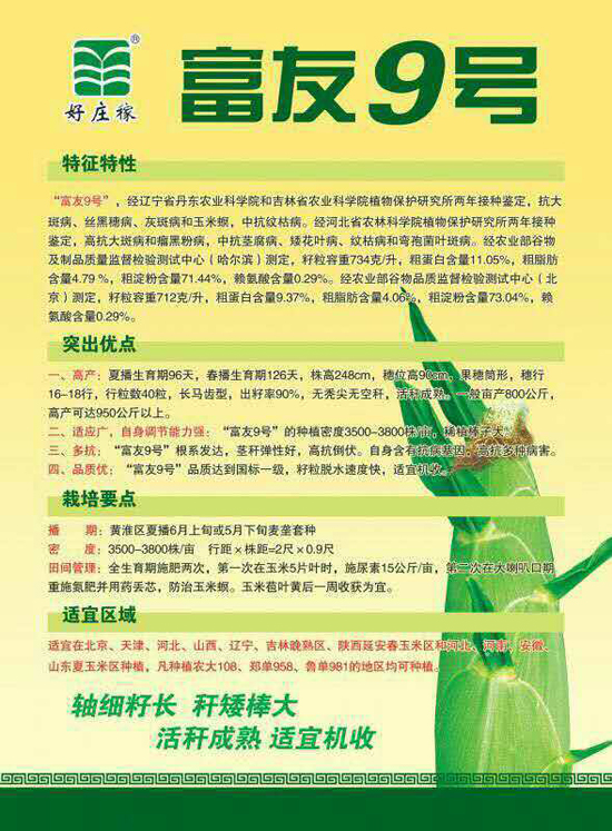 玉雜交種-富友9號(hào)-好莊稼