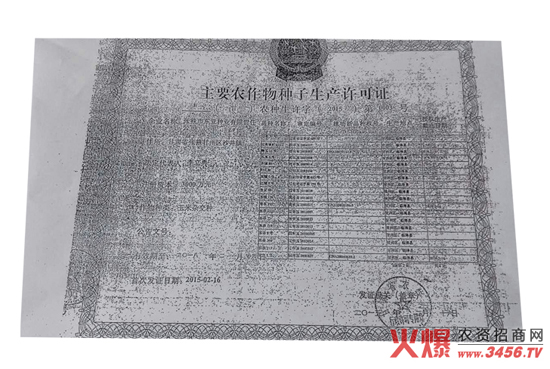 玉雜交種-富友9號(hào)-好莊稼
