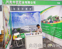 иʘI(y)(qing)u2014ԭϕ(hu)