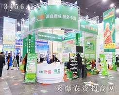 ŲؼF2014ݷϕϴ