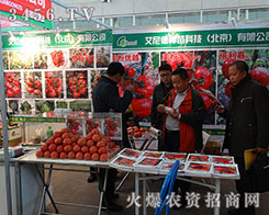 ·NƼ2015INPעȱq