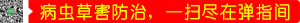 xݺΌһ߱Mڏָg
