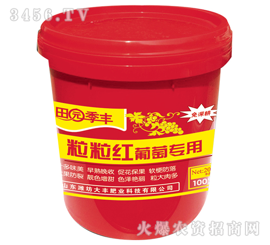 ь(zhun)t-@S-SʘI(y)
