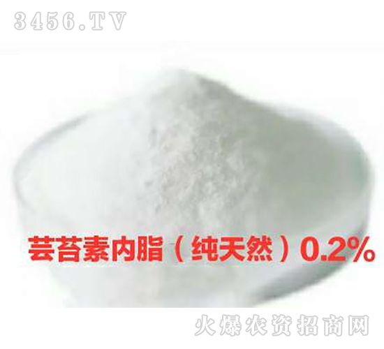 0.2%|̦؃(ni)Ȼ-