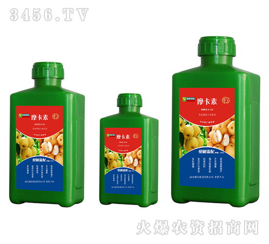 䌣ðҺķ-Ħ-(qing)о