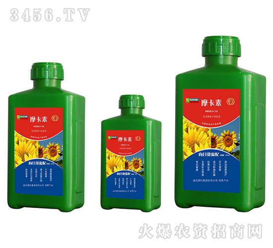 տðҺķ-Ħ-(qing)о