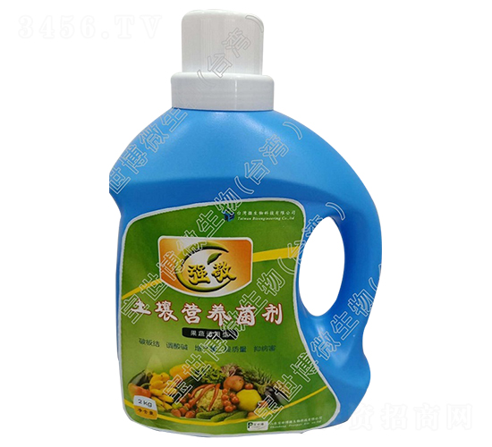 IB(yng)-(qing)-