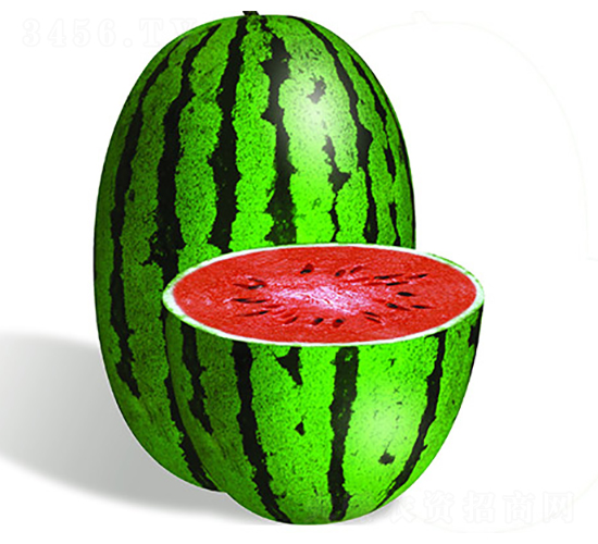 S̖(ho)-ϷN-S(l)NI(y)