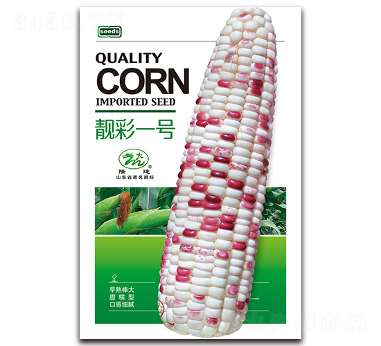 nһ̖-Ŵ׷N-¡_(d)