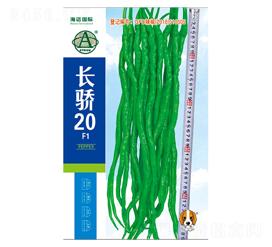 L(zhng)20-N-~H