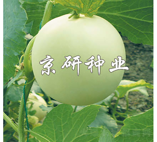 1̖-ϷN-зNI(y)
