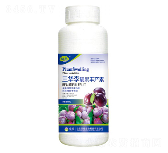 AnSaأ500g--sҫrI(y)