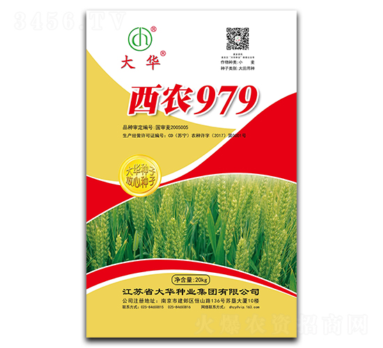 r979-СN-ANI(y)