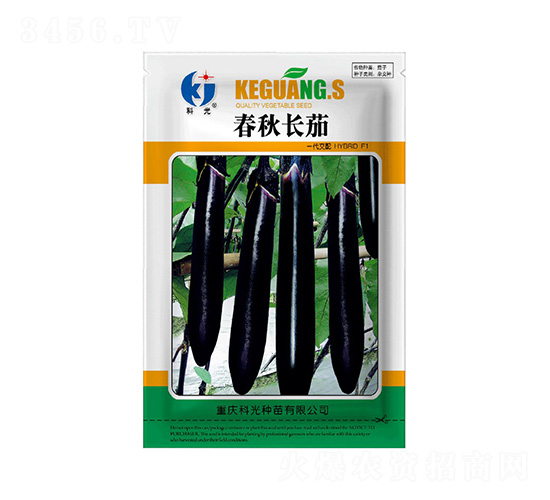 春秋長(zhǎng)茄-科光種苗