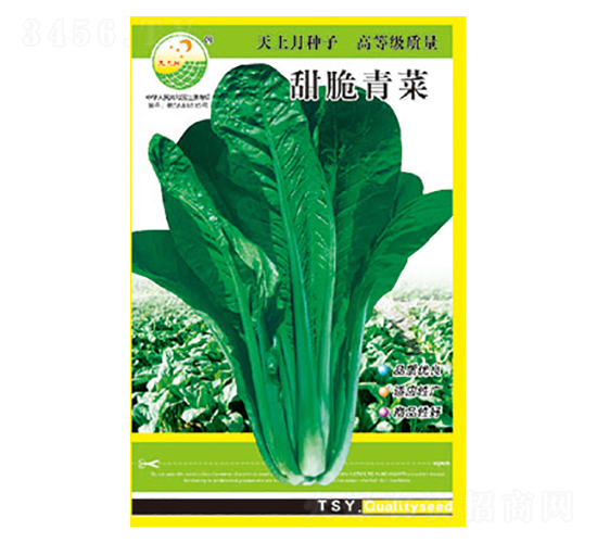 青菜種子-甜脆青菜-太樂種業(yè)