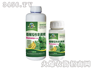 㽶L(zhng)SM(mn)-(yu)-