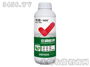 -Rϲ-900-_(ti)